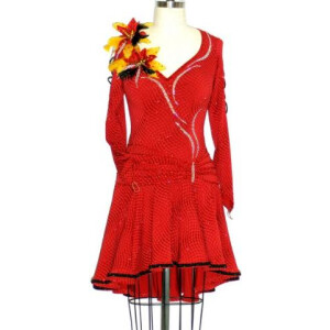 Moulin Rouge Dress 1