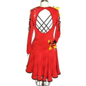 Moulin Rouge Dress 4