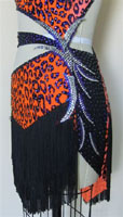 Amazon Vision latin Dress animal print with fringe embellished with swarovski crystals