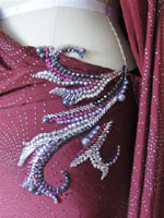 Red Vine Designer Latin Dress tampa